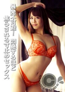 暴発不可避！ 悶絶するほど焦らされる寸止めセックス